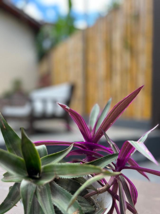 Coco Suites Abraão Dış mekan fotoğraf